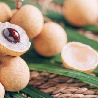 Longan Sirkesi Shot Boy 100 ml.