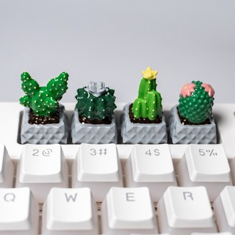 Cactus 4'lü Set 