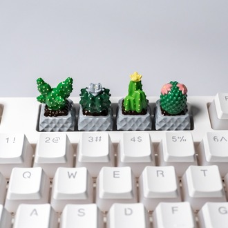 Cactus 4'lü Set 