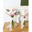 Lily 2025 set