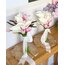 Lily 2025 set