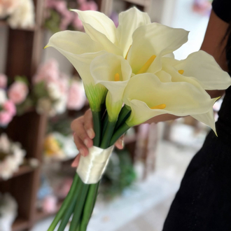 Calla lily