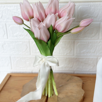 Tulip pink