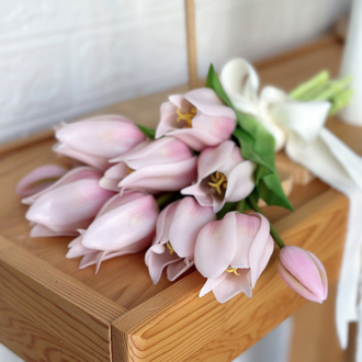 Tulip pink