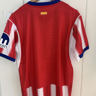 ATLETİCO MADRİD FORMASI