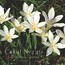 Soul of Caria NARCISSUS ( Nergis) Sprey Artisan Cologne INTENSE - 100ml