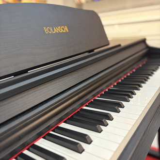Bolanschi BL8808 Dijital Piyano