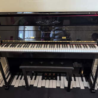 Arsenberg ADP1923 Yeni Versiyon Dijital Piyano