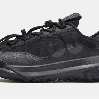 Nike Acg Mountain Fly 2 Low