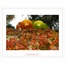 Artprint / Sonbaharın aşk hikayesi