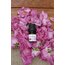 SAF GÜL YAĞI (2,5ML)