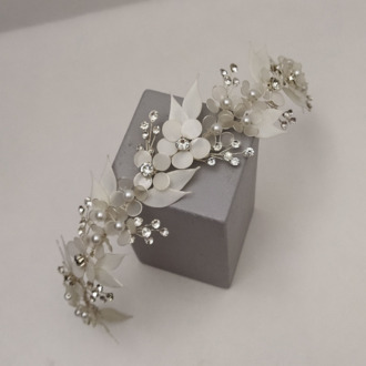 AGNES MODEL