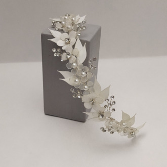 AGNES MODEL