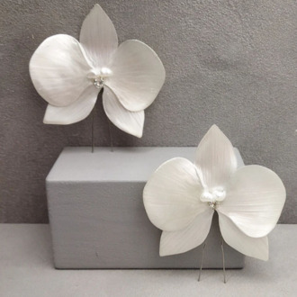 LENA MODEL