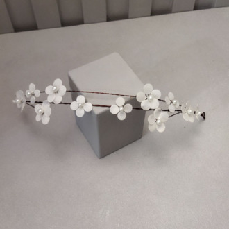 GALE MODEL