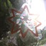 Sevimli Yıldız Suncatcher, Pencere İçin Renkli Statik Sticker
