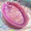Ay ve Yıldız Motifli Parlak Pembe Takı Tabağı