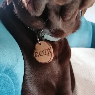 Zeytin Dalı Köpek İsimliği