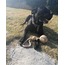 MONKEY FIST 