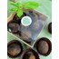 Naneli ve Vişneli Bitter Truffle