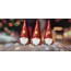 KD190-Gnome Magnet