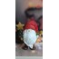 KD289-Yeniyıl Gnome
