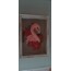 KD227-Flamingo Keçe Pano