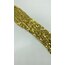 Hematit Basık 6MM Gold