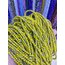 Yuvarlak Cam Nazar 4MM