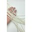 Arpa Sedef 3*5