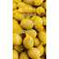 Portakal Dolgulu Zeytin