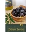 Padişah Zeytin