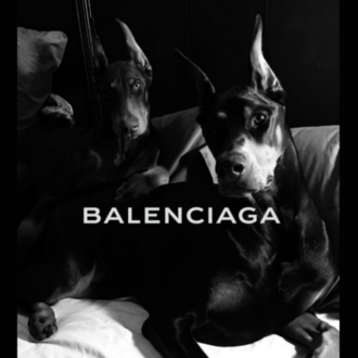 Doberman Köpek Tablosu | Siyah Beyaz Modern Poster