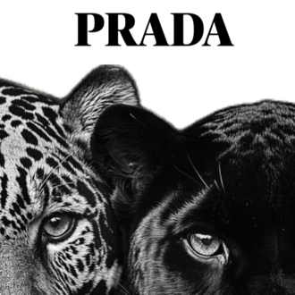 Leopar ve Panter Tablosu | Siyah Beyaz Modern Duvar Dekoru