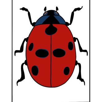 UĞUR BÖCEĞİ POSTER
