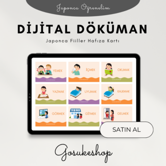 Japonca Fiiller Hafıza Kartı PDF