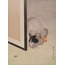 Cat Watching a Spider A6 Poster