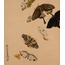 Butterflies A6 Poster
