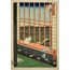 Asakusa Rice Fields and Torinomachi Festival, from the series “One Hundred Famous Views of Edo” 