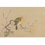 Album of Copies of Chinese Paintings A6 Poster