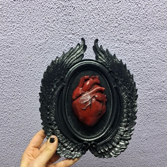 Anatomik Kalp Çerçeve 