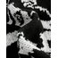 Cutecore Grunge Kedi Desenli Crop Kazak