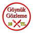 10 TL - GÖYNÜK GÖZLEME