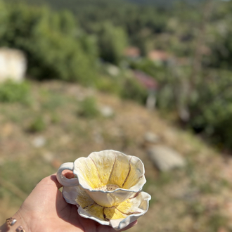 Sarı papatya 