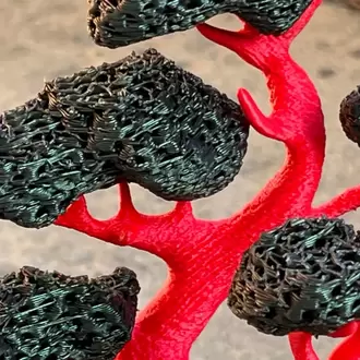Bonsai Ağacı