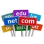 Domain ( Alan Adı)