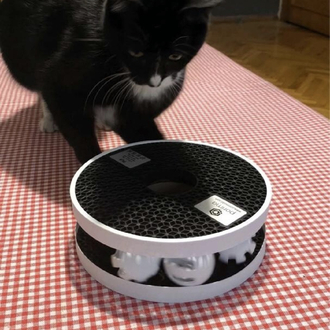 Kedi oyuncağı