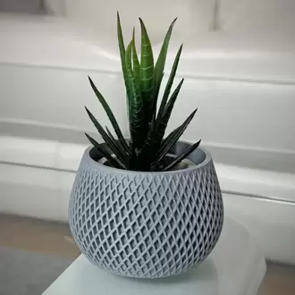 Çift Spiral Saksı