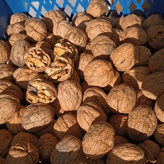 Yerli cendler ceviz1 kg