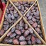 Kudüs hurmasi 1 kg 